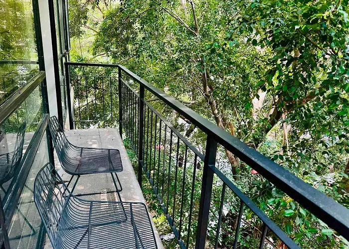 Fast Wifi, Beautiful Ph Steps Away From Masaryk * Mexico City
