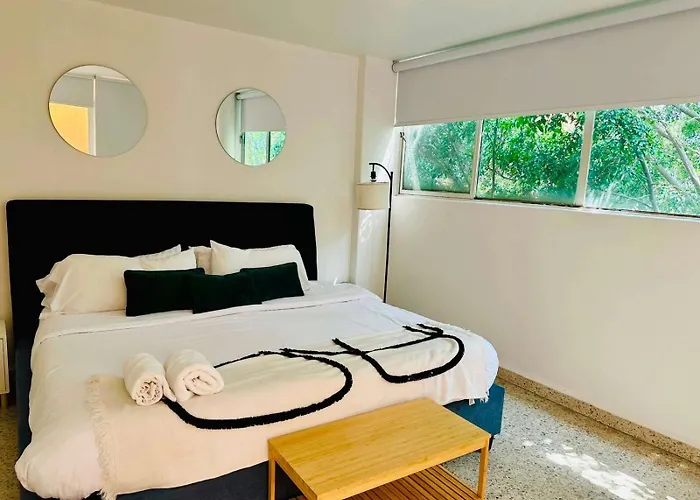 Fast Wifi, Beautiful Ph Steps Away From Masaryk Apartment Mexico City